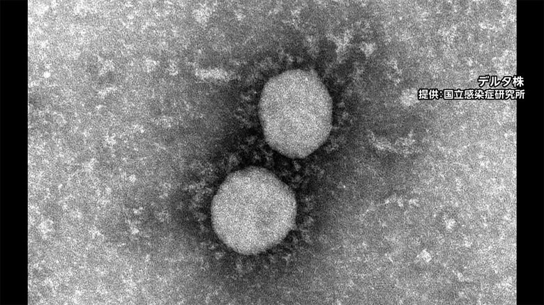 日本でも猛威を振るった新型コロナウイルスの「変異株」