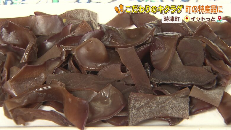 キクラゲの刺身
