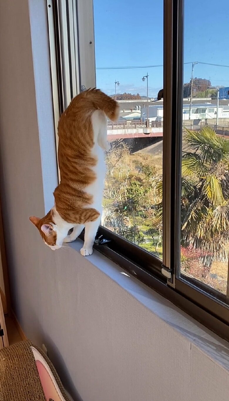 一気に逆立ち！