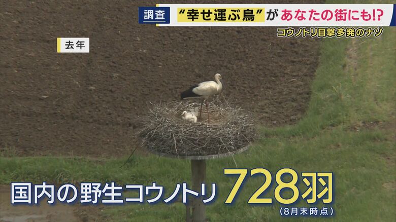 2005年から放鳥