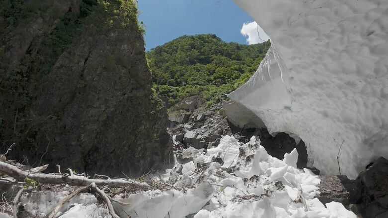 雪と青空、木々のコントラスト