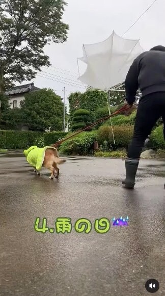 提供：タチバナさんの毎日ルーティン