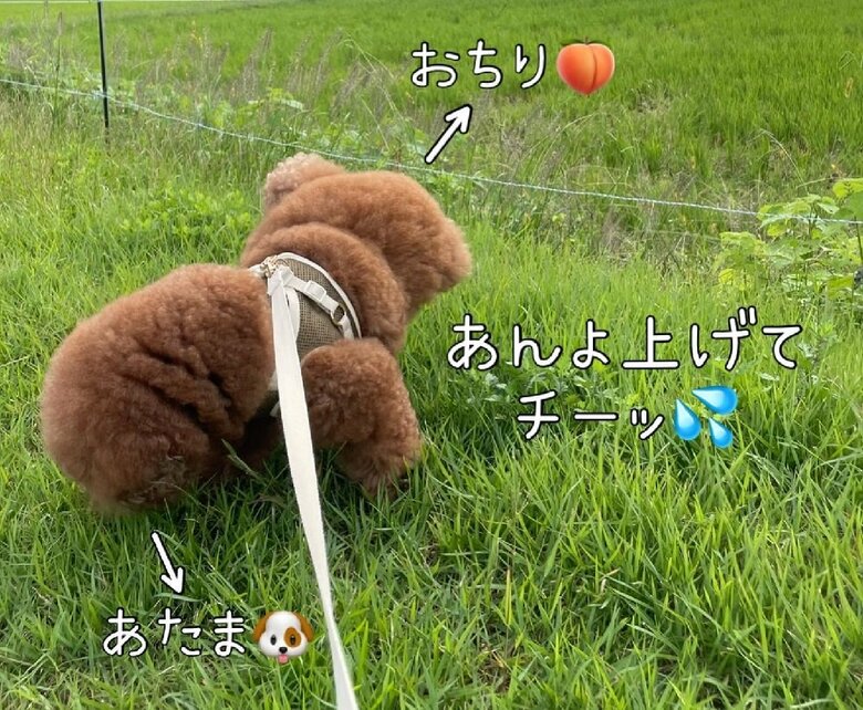正解は左が頭