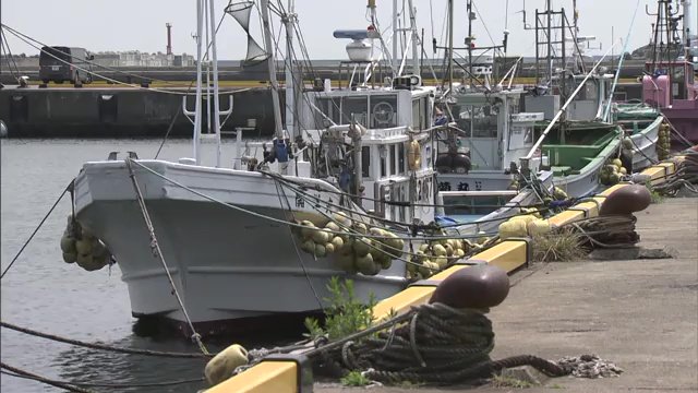 待ち遠しい漁解禁の先には風評被害が待っているのでは…