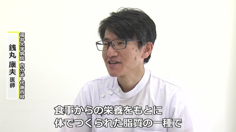 中性脂肪とは「エネルギー源となる物」