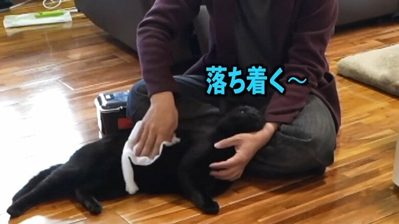 家について約30分ほどなのに、すっかりリラックスしているよう