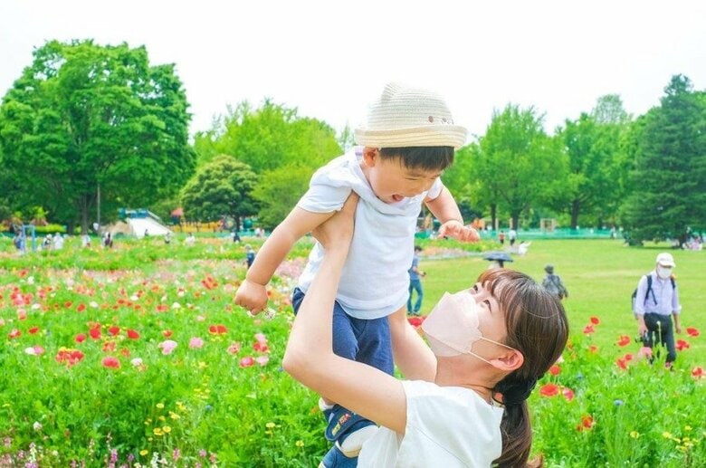 提供：今日のきょーちゃん