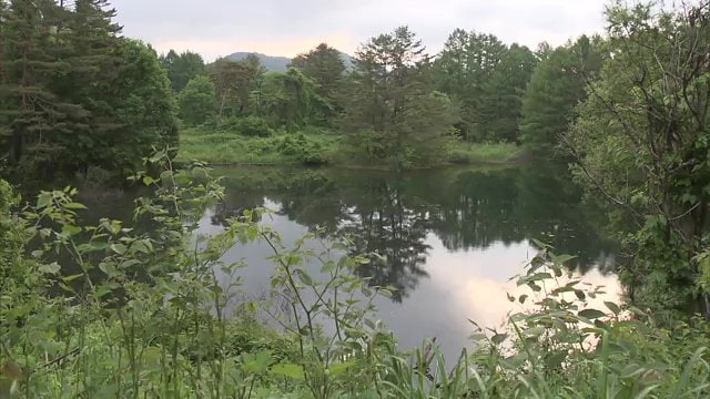 引き続き情報を求める