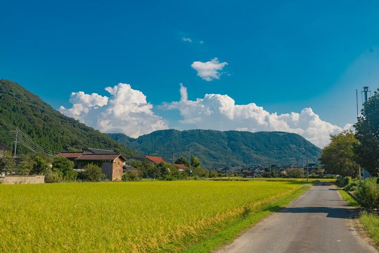 鳥取県鳥取市（2024年9月撮影）