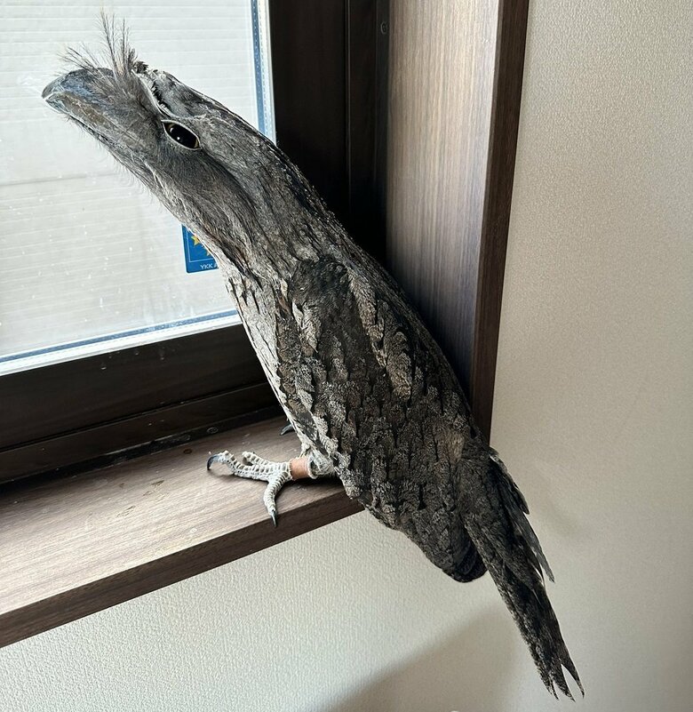 一気に細くなってしまった！