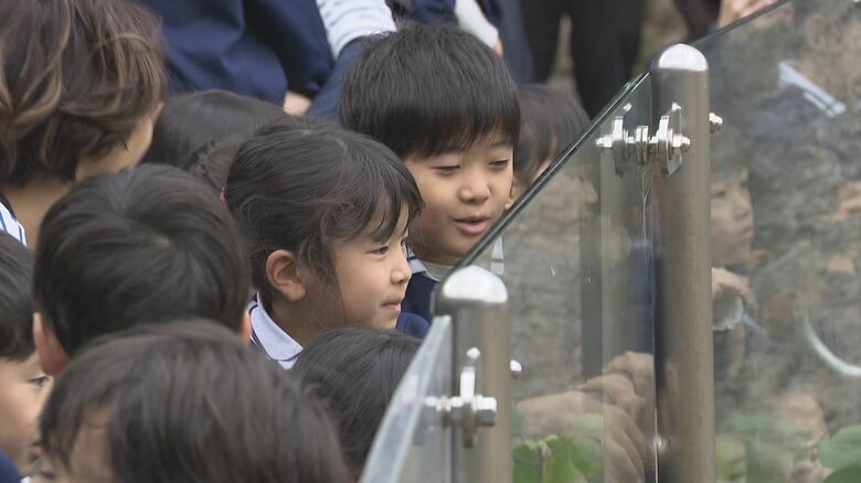 ゾウを見た子どもたちは大喜び