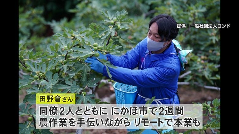 提供：一般社団法人ロンド