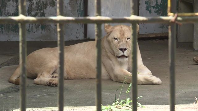 【資料】東北サファリパーク