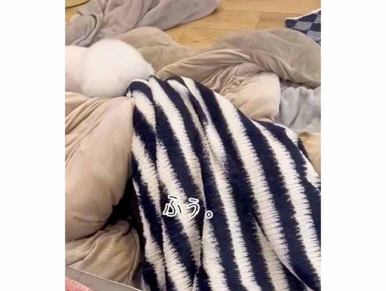 提供：エマ emmaさん