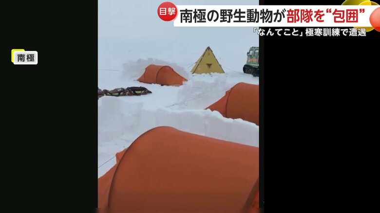 寝袋をしいて、夜の寒さに備えていたニュージーランド軍