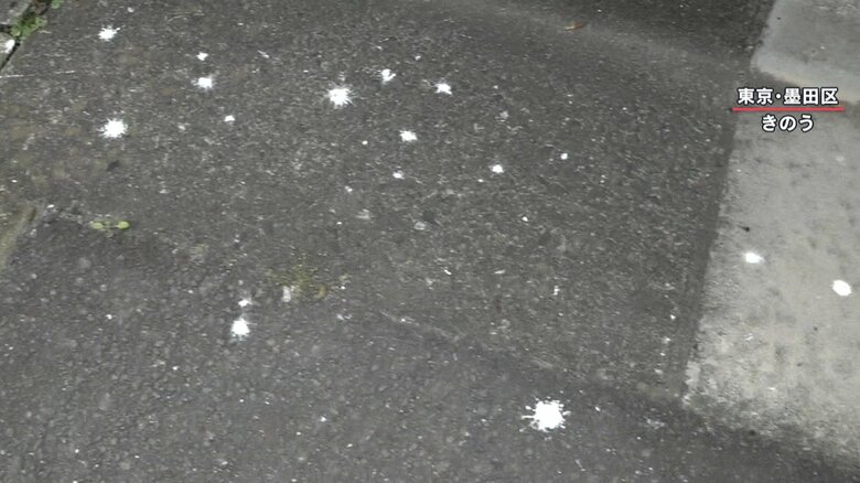 道路のあちこちにフンが