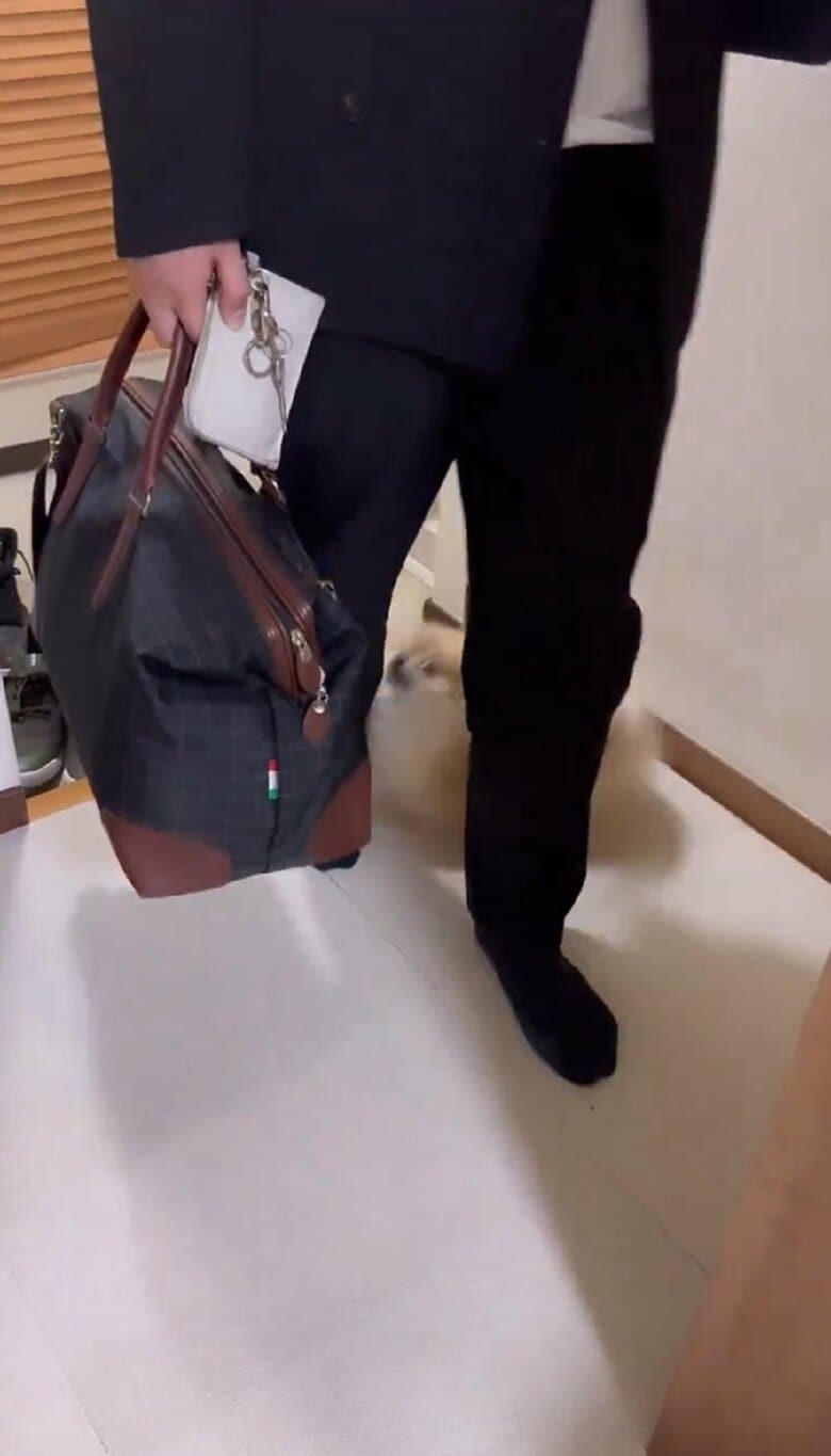 なごみちゃんは動画の最初から最後まで興奮し続けていた