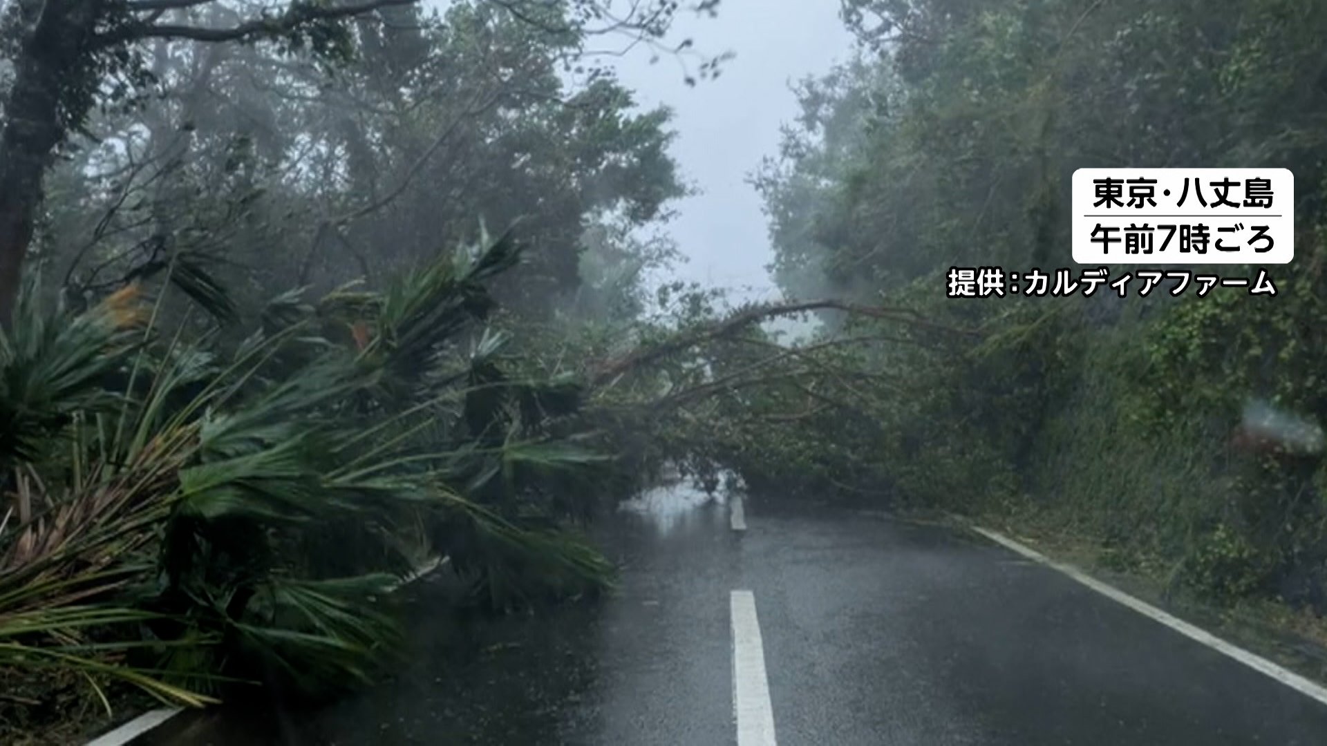 【台風情報】八丈島に特別警報で記録的大雨　最大瞬間風速54.7m観測も…八丈町では窓ガラス割れ、車が横転　避難所に約350人