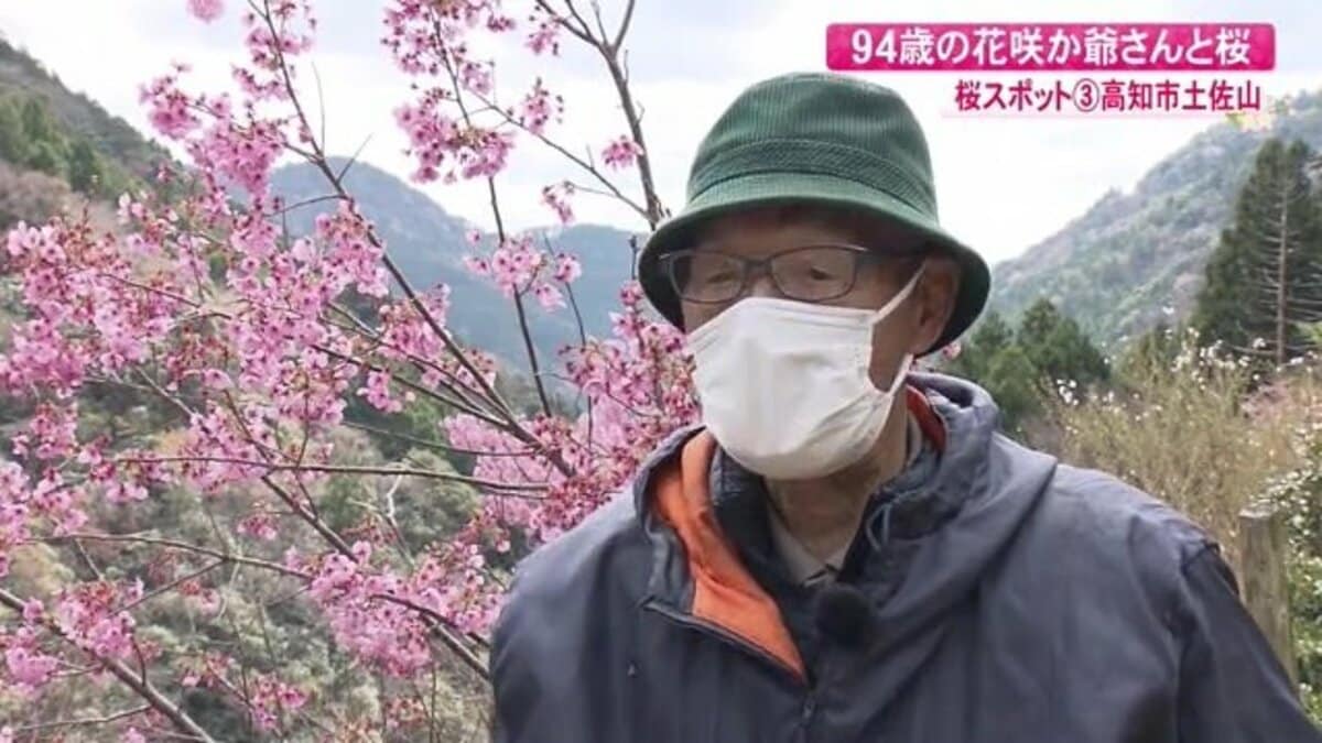 大正生まれの“花咲か爺さん” 荒地に咲かせた500本の桜が人手不足で