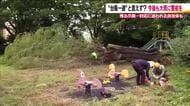 台風15号の爪跡　監視塔倒壊で海水浴場閉鎖　倒木や果樹落下の被害も　引き続き大雨に警戒