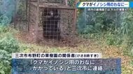 クマがイノシシ用のわなに　檻の中で暴れる姿に戦慄　サルは子どもの足をつかみ噛む　野生動物の被害相次ぐ【広島発】