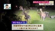 夜の動物観察「のいちdeナイト」や特別企画が目白押し！のいち動物公園のシルバーウィーク【高知】