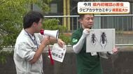 驚異の繁殖力…最大1000個を産卵　サクラやウメの木を食い荒らす「クビアカツヤカミキリ」　北陸初確認のおおい町で被害拡大