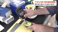 切らずに分かる！反射光でアボカドの食べ頃予測　大学生が技術開発　実用化目指し協力企業を募集中　秋田
