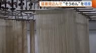 猛暑見込み“そうめん”増産！おいしさの秘密は“8枚”重ねの生地「そうめんで暑い夏乗り切って」新潟・長岡市