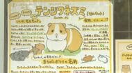 「詐欺かと思った」出版社から突然の連絡…動物園の飼育員（25）が描く「どうぶつ図鑑」秋に出版へ　SNSで2万超の「いいね」　イラストで動物の魅力や面白さをより多くの人に　「動物への世界を広げたい」