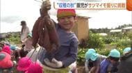 園児が“サツマイモ掘り”に挑戦！勢い余って尻もちも…土に触れ収穫の秋満喫「引っ張るのが楽しかった」新潟