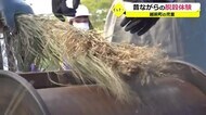 児童が昭和初期の足踏み機で脱穀体験【福井】