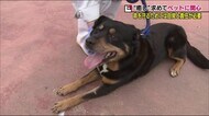 全国で3番目にイヌ・ネコの殺処分が多い福島県 保護したペットの未来を守る『動物愛護センター』