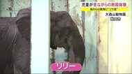 稲わらは動物園の人気者に“ゾウ”呈 児童が昔ながらの脱穀作業を体験 秋田・潟上市