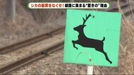 線路に集まる驚きの理由 シカの衝突事故をなくせ! 静岡