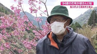 大正生まれの“花咲か爺さん” 荒地に咲かせた500本の桜が人手不足で減少…「いつか花の園に」【高知発】