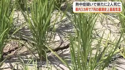 県内3カ所で7月の観測史上最高気温　熱中症疑いで新たに2人死亡【鹿児島】
