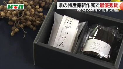 島原産の「ハゼ」を使ったハンドクリームを開発　保湿性に優れるアイテム　高校生のアイディアも参考に