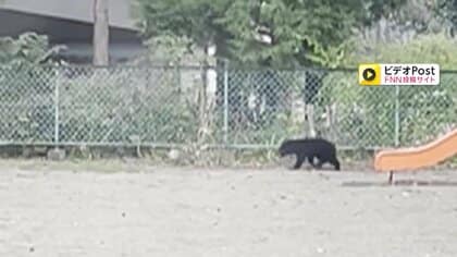 保育園に子グマ“居座り”園庭を走る姿がカメラに…園内にいた園児1人と職員は無事　岩手・奥州市