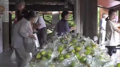 早生みかんや赤飯など　秋の味覚がそろう道の駅酒谷の朝市　 