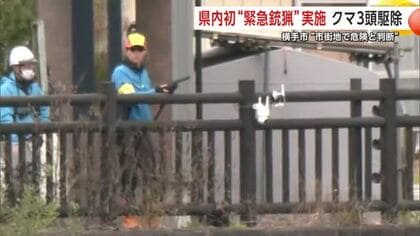 市街地へのクマ出没止まらず　横手市中心部で県内初の“緊急銃猟”　北秋田市では住宅地下の物置に侵入　湯沢市のクマは依然住宅内にとどまる【秋田発】　　　