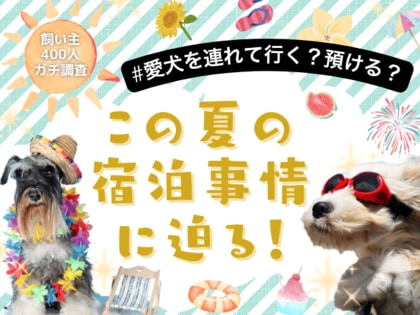 【飼い主400人に調査】夏の旅行、愛犬は一緒?預ける?みんなのリアルな選択とは!
