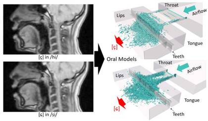 江戸っ子が「ヒ」と「シ」の発音を区別できない原因が判明…舌の位置と左右方向の形状が重要だった