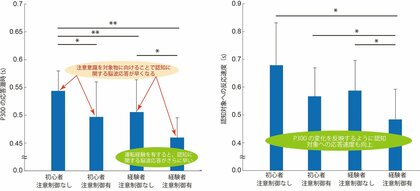 自動車運転の習慣が視覚の注意能力を向上させることを実験で定量的に確認