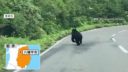 繁殖期迎えた“夏のクマ”　日光「いろは坂」近くに出没　青森ではキャンプ場が夜間開放を当面取りやめ　群馬では釣り中の男性けが
