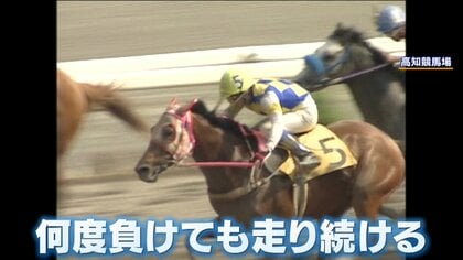 負け組の星”「ハルウララ」29歳で天国へ ゲームアプリ「ウマ娘」で世界