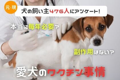 副作用があった犬は 知っているようで知らないワクチン