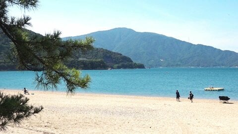海水浴客が8分の1に激減　3500万円の運営費に収入500万円　敦賀「気比の松原」海水浴場が存続の危機