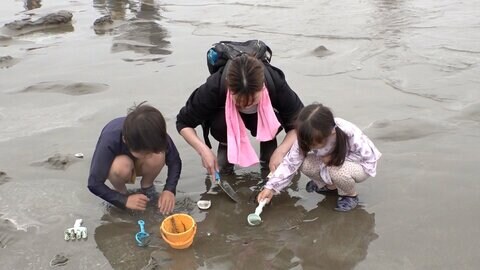 潮干狩り人気スポットに多くの人　禁止エリアを知りながら「毎年この辺で」という人、禁止と知り貝を戻す人　茨城・大洗サンビーチ