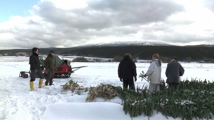 秋田・にかほ市の農業法人「権右衛門」が企画した大学生向けの農業体験（2026年1月）